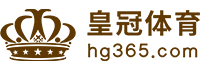 Logo im体育官网